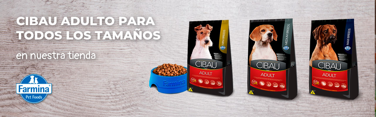 cibau adulto