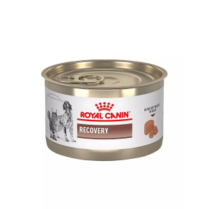 Royal Canin Recovery 145gr