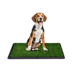 Baño Sanitario Pet Potty