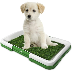 Baño Sanitario Puppy Potty Pad.